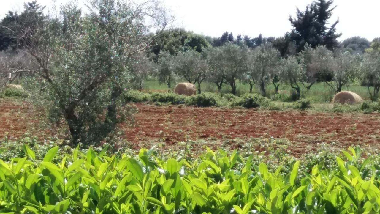 Villetta Orchidea Giuggianello Dış mekan fotoğraf